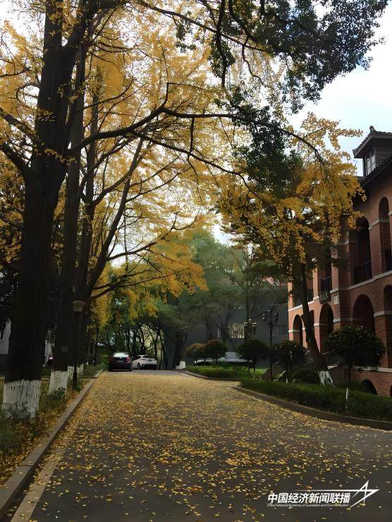 3.jpg?x-oss-process=style/water