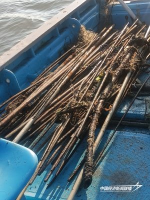 清理的竹竿、铁杆_副本.jpg?x-oss-process=style/water